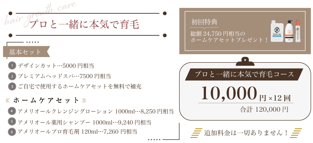 『プロと一緒に本気で育毛』　基本セット（デザインカット：5000円相当、プレミアムヘッドスパ：7500円相当、ご自宅で使用するホームケアセットを無料で補充）　ホームケアセット（アメリオールクレンジングローション 1000ml：8,250円相当、アメリオール薬用シャンプー 1000ml：9,240円相当、アメリオールプロ育毛剤 120ml：7,260 円相当）　【初回特典】総額24750円相当のホームケアセットプレゼント！【プロと一緒に本気で育毛コース】10,000円×12回、合計120,000円　追加料金は一切ありません！）