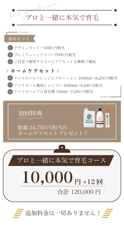 『プロと一緒に本気で育毛』　基本セット（デザインカット：5000円相当、プレミアムヘッドスパ：7500円相当、ご自宅で使用するホームケアセットを無料で補充）　ホームケアセット（アメリオールクレンジングローション 1000ml：8,250円相当、アメリオール薬用シャンプー 1000ml：9,240円相当、アメリオールプロ育毛剤 120ml：7,260 円相当）　【初回特典】総額24750円相当のホームケアセットプレゼント！【プロと一緒に本気で育毛コース】10,000円×12回、合計120,000円　追加料金は一切ありません！）