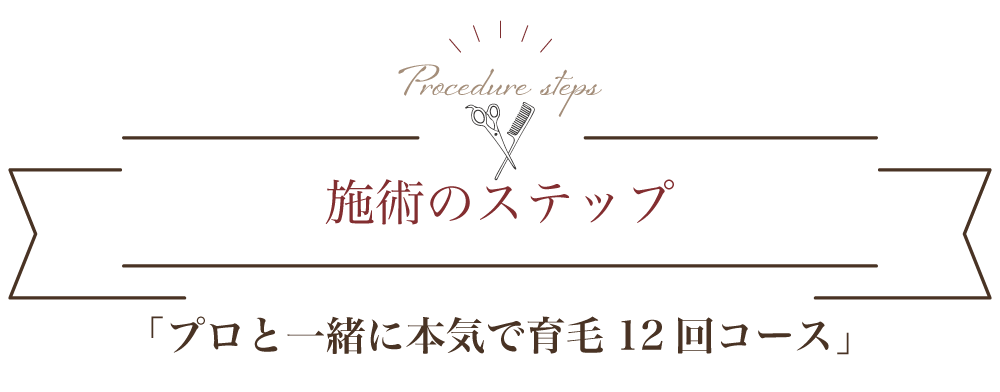 施術のステップ　『プロと一緒に本気で育毛12回コース』